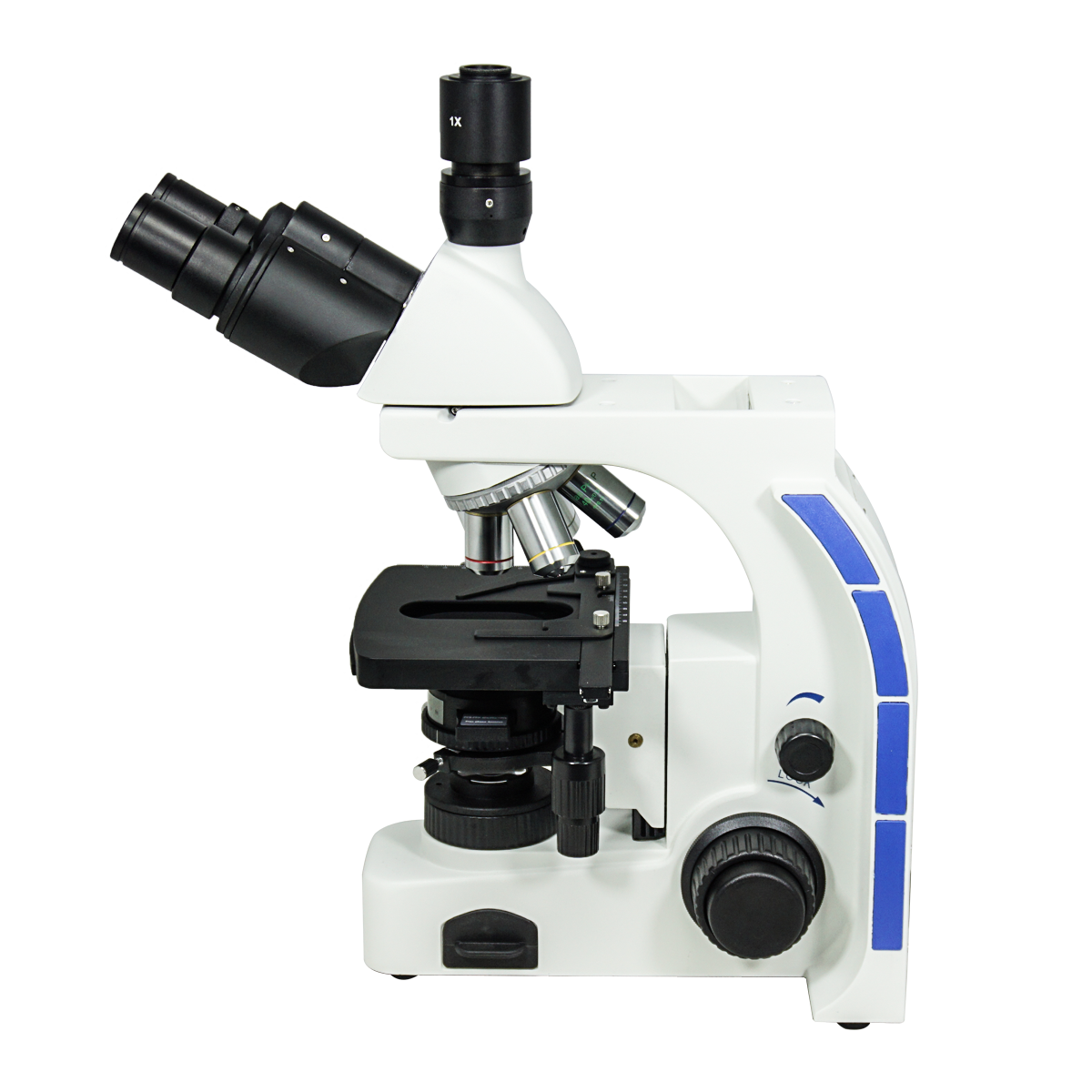 Phase Contrast Microscope